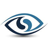 Vision Logo